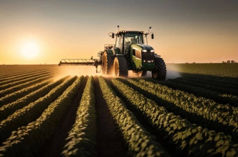 Zabiegi pielęgnacyjne i nawożenie, Agro-Wip Sp. z o.o., Dziećmarów